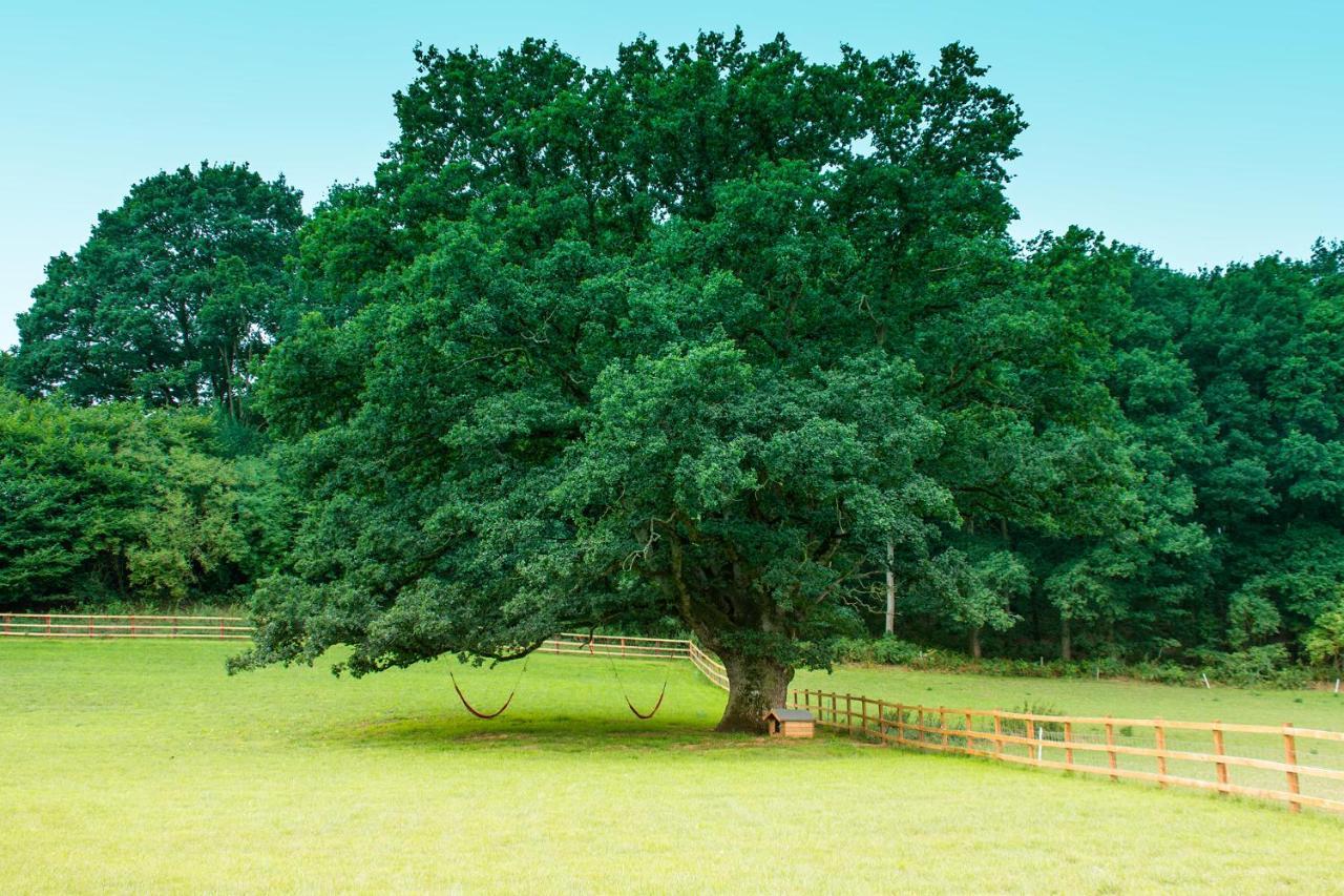 Hidden Wood Glamping And The Hideaway Cabin 沃明斯特 外观 照片