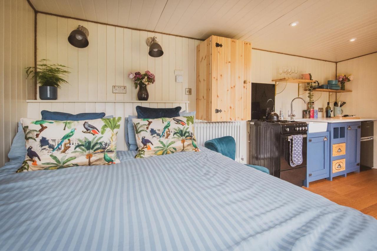 Hidden Wood Glamping And The Hideaway Cabin 沃明斯特 外观 照片