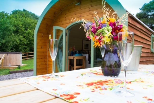 Hidden Wood Glamping And The Hideaway Cabin 沃明斯特 外观 照片